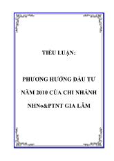Tiểu luận Phương hướng đầu tư năm 2010 của chi nhánh Ngân hàng nông nghiệp & Phát triển nông thôn Gia Lâm