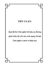 Tiểu luận Quá độ lên Chủ nghĩa Xã hội,con đường phát triển tất yếu của cách mạng Xã hội Chủ nghĩa ở nước ta hiện nay