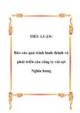 Tiểu luận Quá trình hình thành và phát triển của công ty vải sợi Nghĩa Hưng