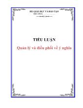 Tiểu luận Quản lý và điều phối về ý nghĩa