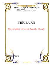 Tiểu luận Quy chế pháp lý của cán bộ, công chức, viên chức