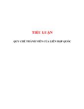 Tiểu luận Quy chế thành viên của liên hợp quốc