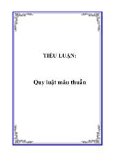 Tiểu luận Quy luật mâu thuẫn