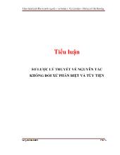 Tiểu luận Sơ lược lý thuyết về nguyên tắc không đối xử phân biệt và tùy tiện