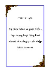 Tiểu luận Sự hình thành và phát triển -Thực trạng hoạt động kinh doanh của công ty xuất nhập khẩu Nam Sơn