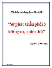 Tiểu luận Sự phát triển phôi ở lưỡng cư, chim thú