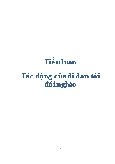 Tiểu luận Tác động của di dân tới đói nghèo
