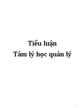 Tiểu luận Tâm lý học quản lý