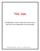 Tiểu luận Thu thập thông tin về duy trì và phát triển tổ chức của một cơ quan cụ thể, và chỉ ra những chính sách mà họ đang dùng