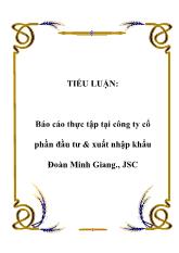 Tiểu luận Thực tập tại công ty cổ phần đầu tư & xuất nhập khẩu Đoàn Minh Giang., JSC