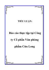Tiểu luận Thực tập tại Công ty Cổ phần Văn phòng phẩm Cửu Long