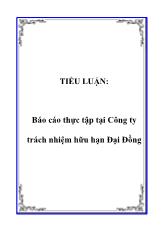 Tiểu luận Thực tập tại Công ty trách nhiệm hữu hạn Đại Đồng