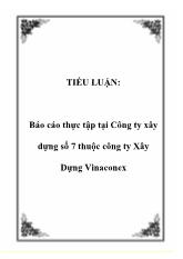 Tiểu luận Thực tập tại Công ty xây dựng số 7 thuộc công ty Xây Dựng Vinaconex