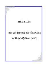 Tiểu luận Thực tập tại Tổng Công ty Thép Việt Nam (VSC)
