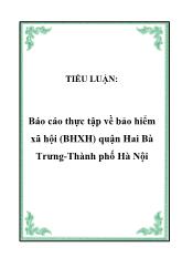 Tiểu luận Thực tập về bảo hiểm xã hội (BHXH) quận Hai Bà Trưng-Thành phố Hà Nội