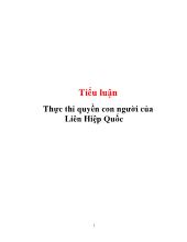 Tiểu luận Thực thi quyền con người của Liên Hiệp Quốc