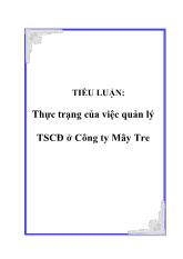 Tiểu luận Thực trạng của việc quản lý tài sản cố định ở Công ty Mây Tre