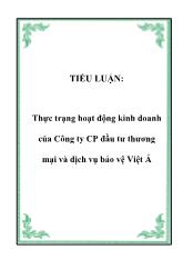 Tiểu luận Thực trạng hoạt động kinh doanh của Công ty cổ phần đầu tư thương mại và dịch vụ bảo vệ Việt Á