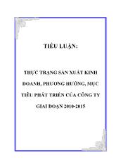 Tiểu luận Thực trạng sản xuất kinh doanh, phương hướng, mục tiêu phát triển của công ty giai đoạn 2010-2015