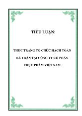 Tiểu luận Thực trạng tổ chức hạch toán kế toán tại công ty cổ phần thực phẩm Việt Nam