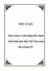 Tiểu luận Thực trạng và giải pháp đẩy mạnh xuất khẩu giày dép Việt Nam sang thị trường EU