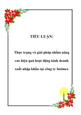Tiểu luận Thực trạng và giải pháp nhằm nâng cao hiệu quả hoạt động kinh doanh xuất nhập khẩu tại công ty Intimex