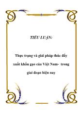 Tiểu luận Thực trạng và giải pháp thúc đẩy xuất khẩu gạo của Việt Nam- Trong giai đoạn hiện nay