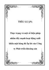 Tiểu luận Thực trạng và một số biện pháp nhằm đẩy mạnh hoạt động xuất khẩu mặt hàng đá ốp lát của Công ty Phát triển khoáng sản