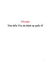 Tiểu luận Tìm hiểu Tòa án hình sự quốc tế