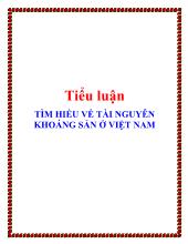 Tiểu luận Tìm hiểu về tài nguyên khoáng sản ở Việt Nam