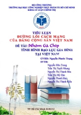 Tiểu luận Tình hình bạo lực gia đình tại Việt Nam