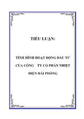 Tiểu luận Tình hình hoạt động đầu tư của công ty cổ phần nhiệt điện Hải Phòng