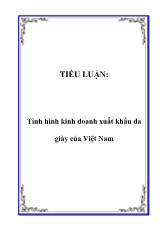 Tiểu luận Tình hình kinh doanh xuất khẩu da giày của Việt Nam