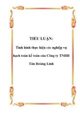 Tiểu luận Tình hình thực hiện các nghiệp vụ hạch toán kế toán của Công ty trách nhiệm hữu hạn Tân Hoàng Linh