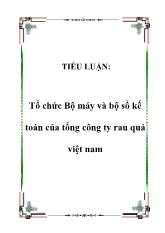 Tiểu luận Tổ chức Bộ máy và bộ sổ kế toán của tổng công ty rau quả Việt Nam