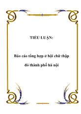 Tiểu luận Tổng hợp ở hội chữ thập đỏ thành phố Hà Nội