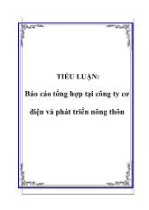 Tiểu luận Tổng hợp tại công ty cơ điện và phát triển nông thôn