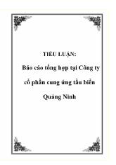 Tiểu luận Tổng hợp tại Công ty cổ phần cung ứng tầu biển Quảng Ninh
