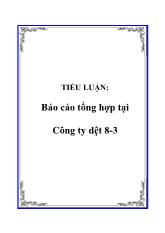 Tiểu luận Tổng hợp tại Công ty dệt 8-3