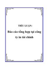 Tiểu luận Tổng hợp tại công ty in tài chính