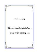 Tiểu luận Tổng hợp tại công ty phát triển khoáng sản