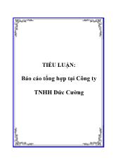 Tiểu luận Tổng hợp tại Công ty trách nhiệm hữu hạn Đức Cường