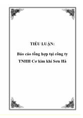 Tiểu luận Tổng hợp tại công ty trách nhiệm hữu hạn Cơ kim khí Sơn Hà