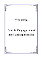 Tiểu luận Tổng hợp tại nhà máy xi măng Bỉm Sơn