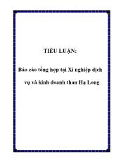 Tiểu luận Tổng hợp tại Xí nghiệp dịch vụ và kinh doanh than Hạ Long