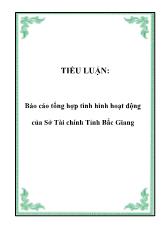Tiểu luận Tổng hợp tình hình hoạt động của Sở Tài chính Tỉnh Bắc Giang