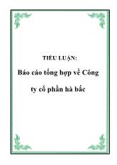 Tiểu luận Tổng hợp về Công ty cổ phần Hà Bắc