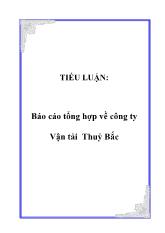 Tiểu luận Tổng hợp về công ty Vận tải Thuỷ Bắc