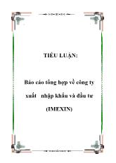 Tiểu luận Tổng hợp về công ty xuất nhập khẩu và đầu tư (IMEXIN)
