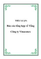 Tiểu luận Tổng hợp về Tổng Công ty Vinaconex